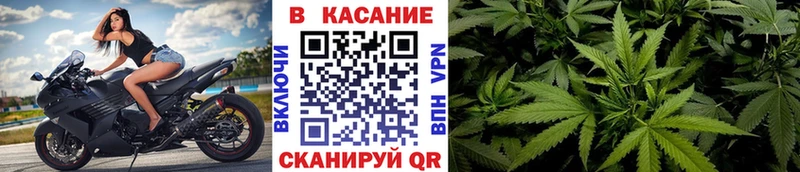 Купить наркотики Бабушкин Alpha-PVP  Канабис  Псилоцибиновые грибы  Гашиш  Меф 