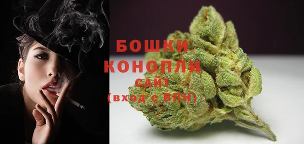 бошки Алексин