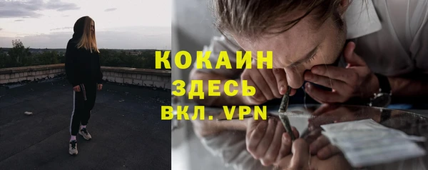 бошки Алексин
