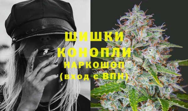 бошки Алексин