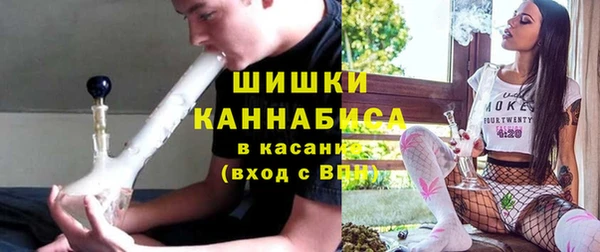 бошки Алексин