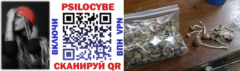 Галлюциногенные грибы MAGIC MUSHROOMS  Бабушкин 