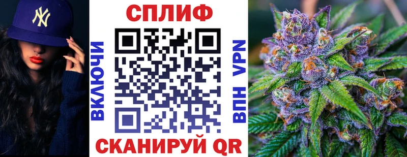 Конопля сатива  Бабушкин 